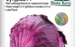 Futurima / Футуріма