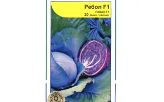 Reball F1 / Ребол F1