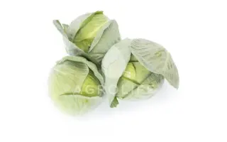 Roccoma F1 / Роккома F1