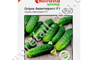 Авантюрист