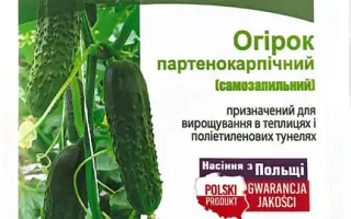 Ametist / Аметист