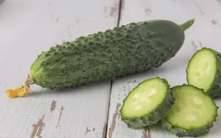 Ansgar / Ансгар