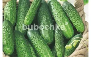 Aristan / Арістан