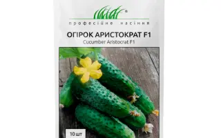 Aristocrat F1 / Арістократ F1