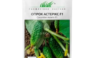 Asterix F1 / Астерікс F1