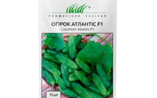 Аtlantis F1 / Атлантіс F1