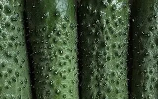 BRANDINO / БРАНДІНО