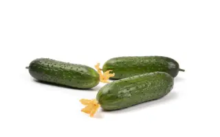 Valigora / Валігора