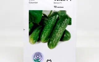 Velox / Велокс