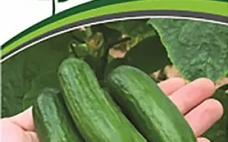 Grandor / Грандор