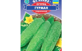 Grummel / Груммел