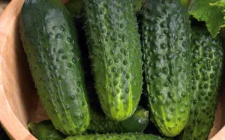 Zuzana F1 / Зузана F1