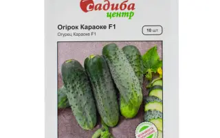 Karaoke F1 / Караоке F1