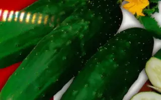 Marketmore 70 / Маркетморе 70