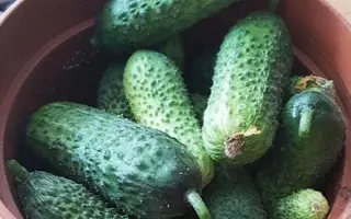 Mozayik / Мозаїк
