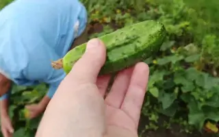 Мона (АХ-148) / Мона