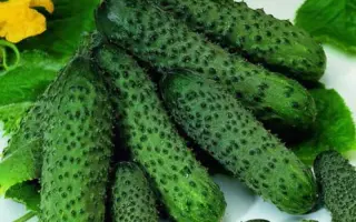 Monisia / Монісія