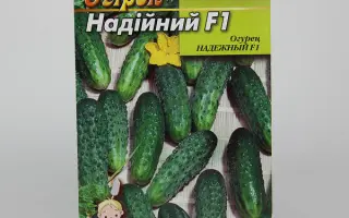 Надійний F1
