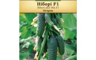 Nibori / Ніборі