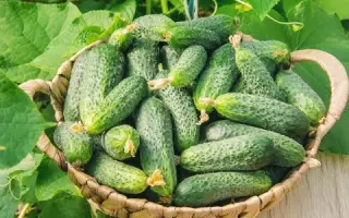 Ніжинський місцевий