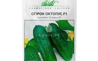 Octopus F1 / Октопус F1