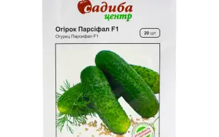 Parsifal F1 / Парсіфал F1