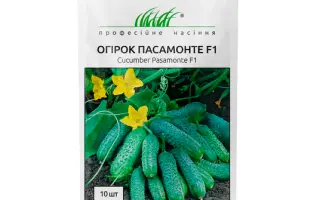 Pasamonte F1 / Пасамонте F1