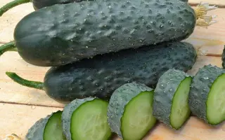 Pickscore / Пікскор