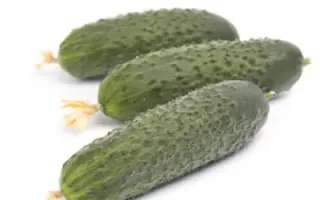 Romara / Ромара