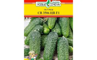 SV3506CV / СВ3506ЦВ