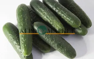 Sinclair / Сінклер