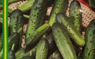 Слобожанський F1