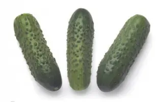 Sonate F1 / Соната F1