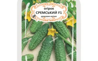 Sremski F1 / Сремський F1