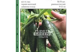 Susidu na zazdrist / Сусіду на заздрість