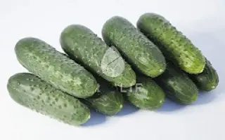 Takeri / Такері