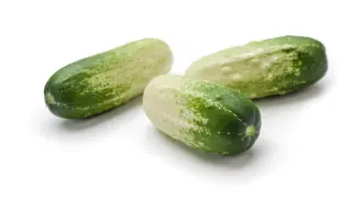 Twinfit / Твінфіт