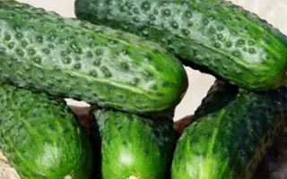 Akilina / Акіліна