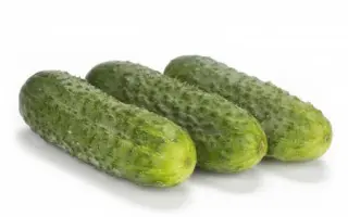 Berlioz / Берліоз