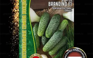 Branina / Браніна