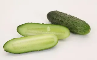 Wagner / Вагнер