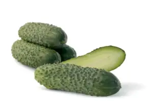 Gaydn F1 / Гайдн F1