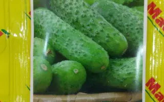 Дива (АХ 155) / Діва