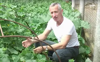 Doctor / Доктор