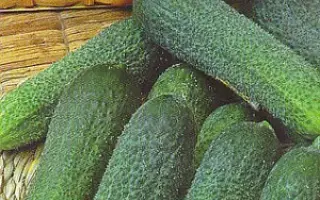 Dolomit / Доломіт