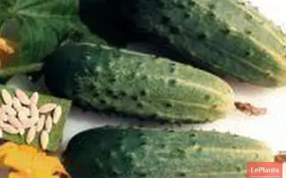 Эпилог / Епілог F1