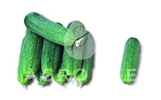 Capra F1 / Капра F1