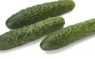 Carminara / Кармінара