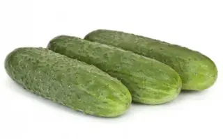 Componist F1 / Компоніст F1