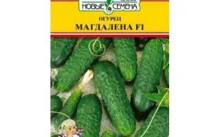 Magdalena F1 / Магдалєна F1